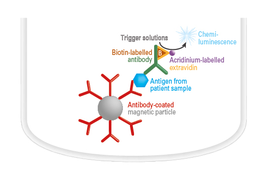 Antigen detection by ChLIA