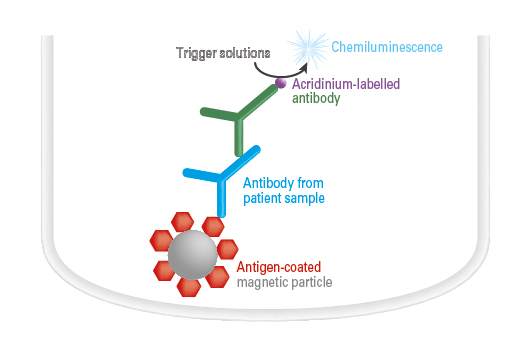 Antibody detection by ChLIA